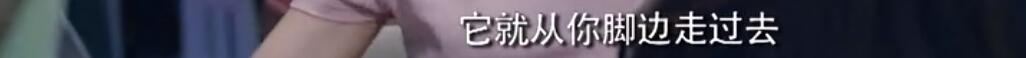 胡静10年阔太生活曝光 住超大豪宅吃路边摊