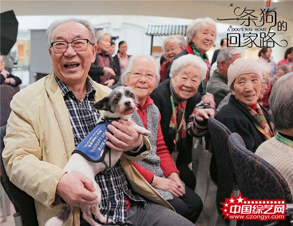 《一条狗的回家路》被赞“假期必看” 联合马达送温暖
