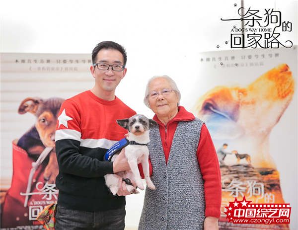 《一条狗的回家路》被赞“假期必看” 联合马达送温暖
