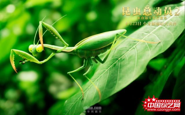 《昆虫总动员2—来自远方的后援军》萌力定档8月23日