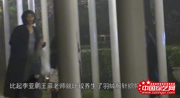 王菲深夜现身李亚鹏居所 两人前后脚出门心情极好