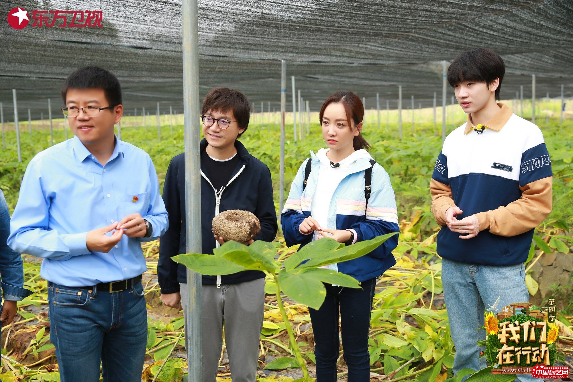 “新村民”走访考察当地魔芋种植情况